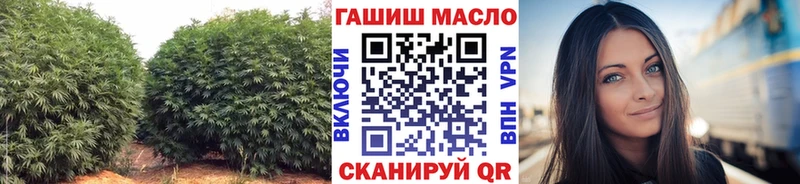 ТГК Wax  Купить закладки  Азнакаево 